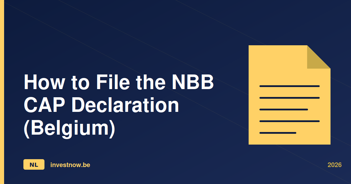 How to File the NBB CAP Declaration (Belgium)